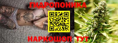 шишки Обнинск