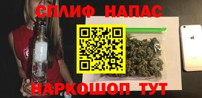 шишки Обнинск