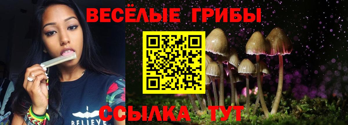Галлюциногенные грибы Magic Shrooms Сосновоборск