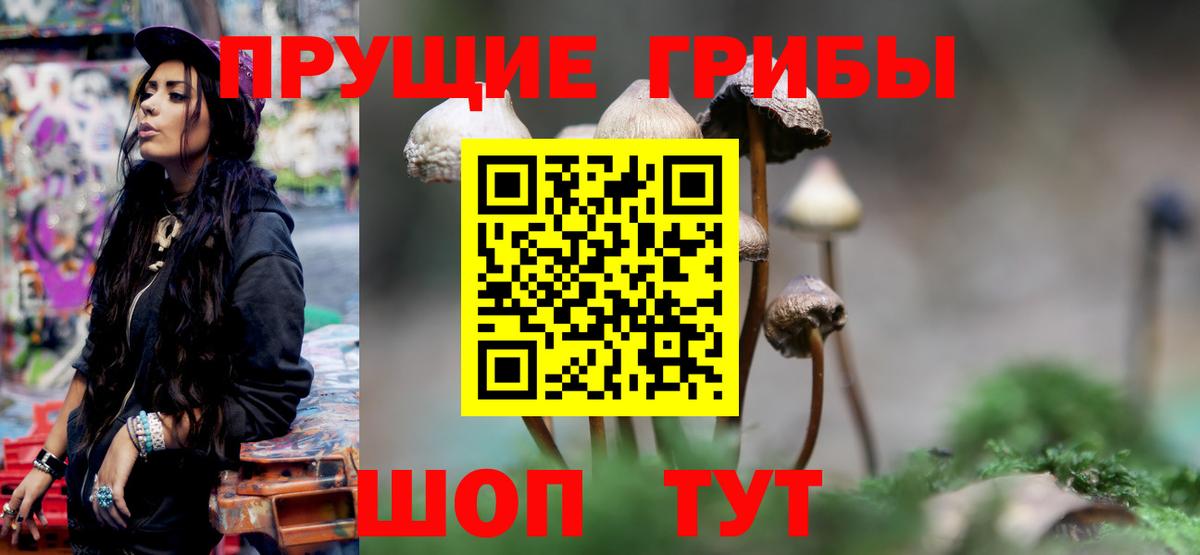 Псилоцибиновые грибы MAGIC MUSHROOMS  закладка  Сосновоборск  Вход с VPN 