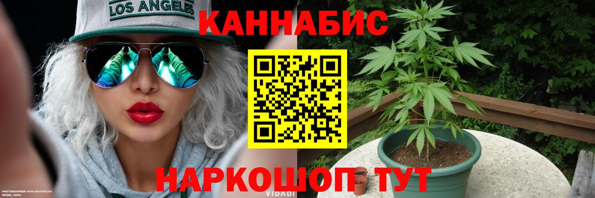 Бошки марихуана семена Сосновоборск